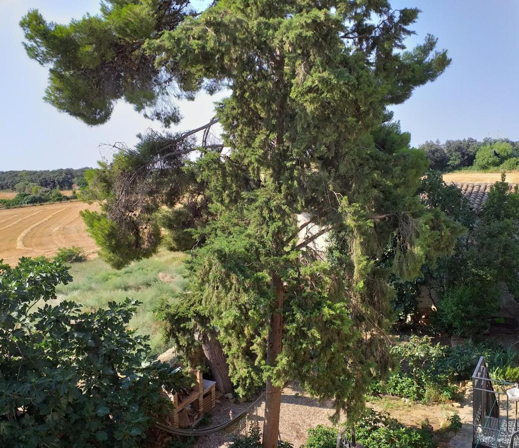 Casa Rural Boletas Loporzano エクステリア 写真